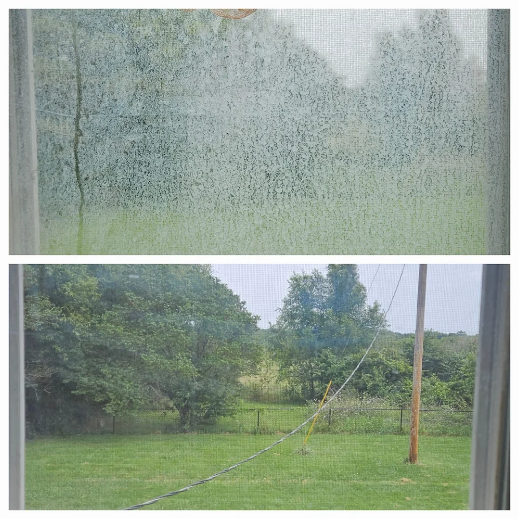 gallery-6 2025 08 18 6